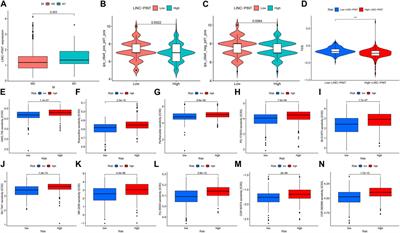 Clinical implications of lncRNA LINC-PINT in cancer